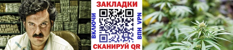  COCAIN Бобров