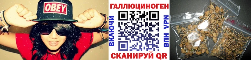 площадка клад  Бобров  Галлюциногенные грибы мицелий 
